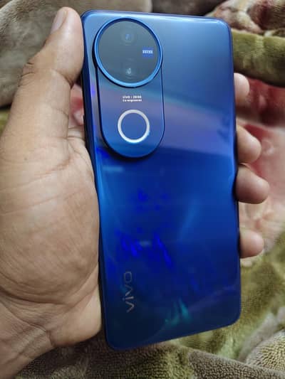 Vivo V50 12+512