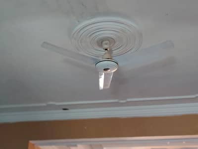 6 genuine copper fans