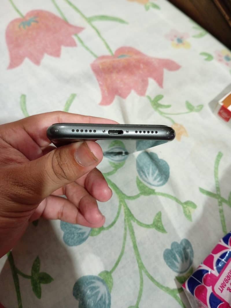 Apple iPhone 11 2