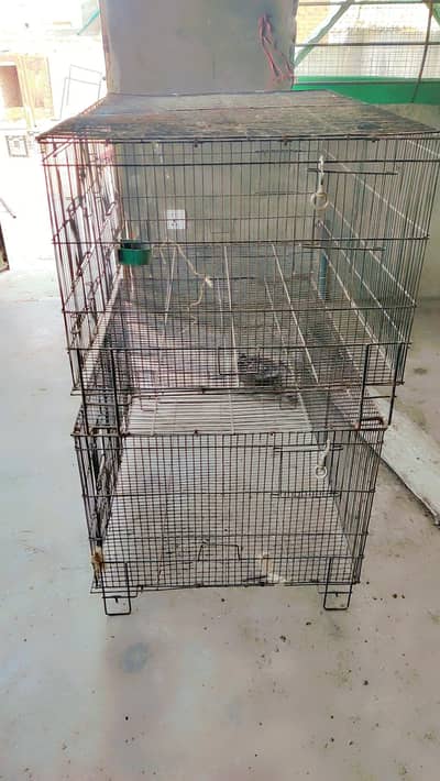 cages for sale.      03495536584
