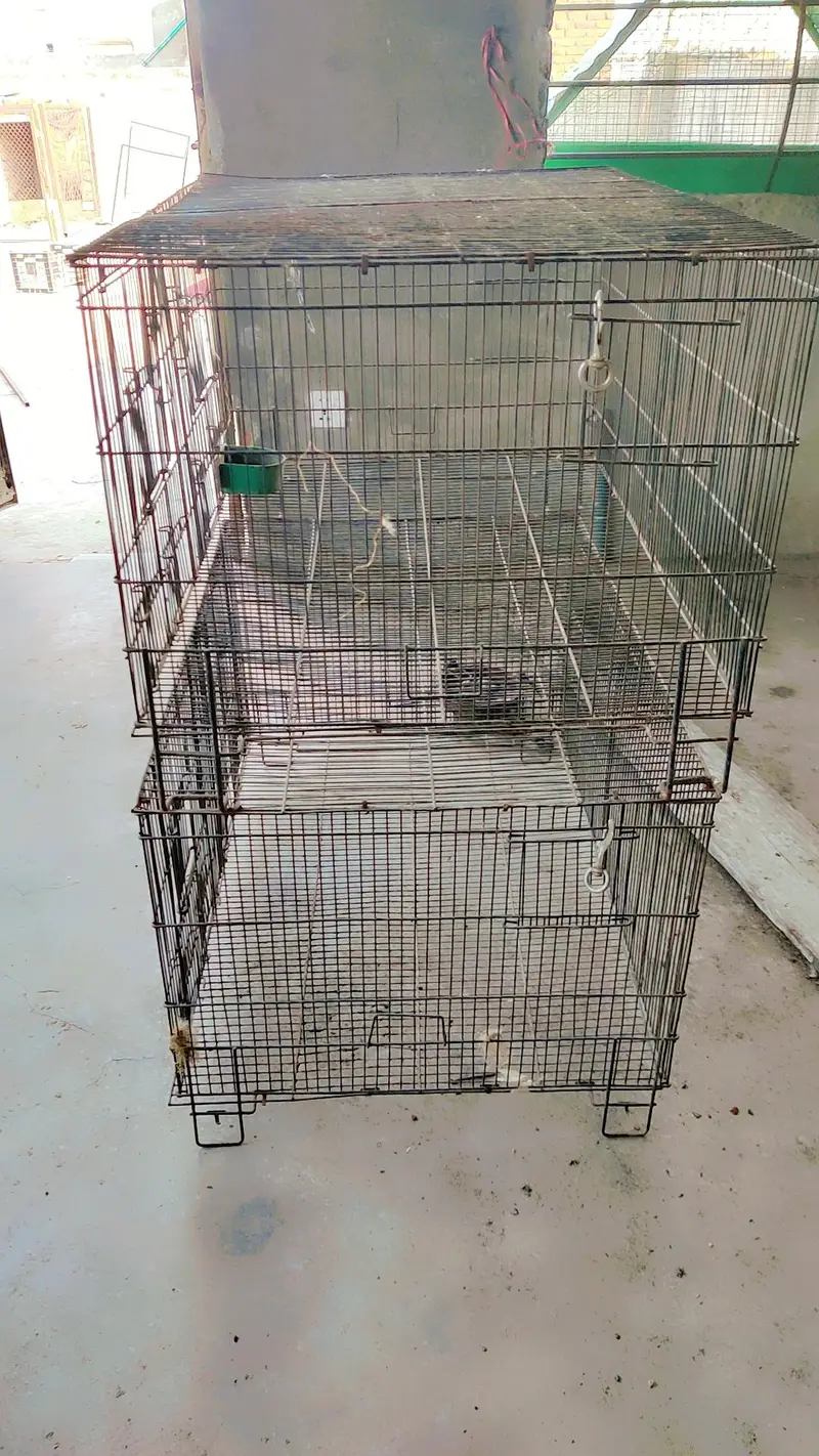 cages for sale.      03495536584
