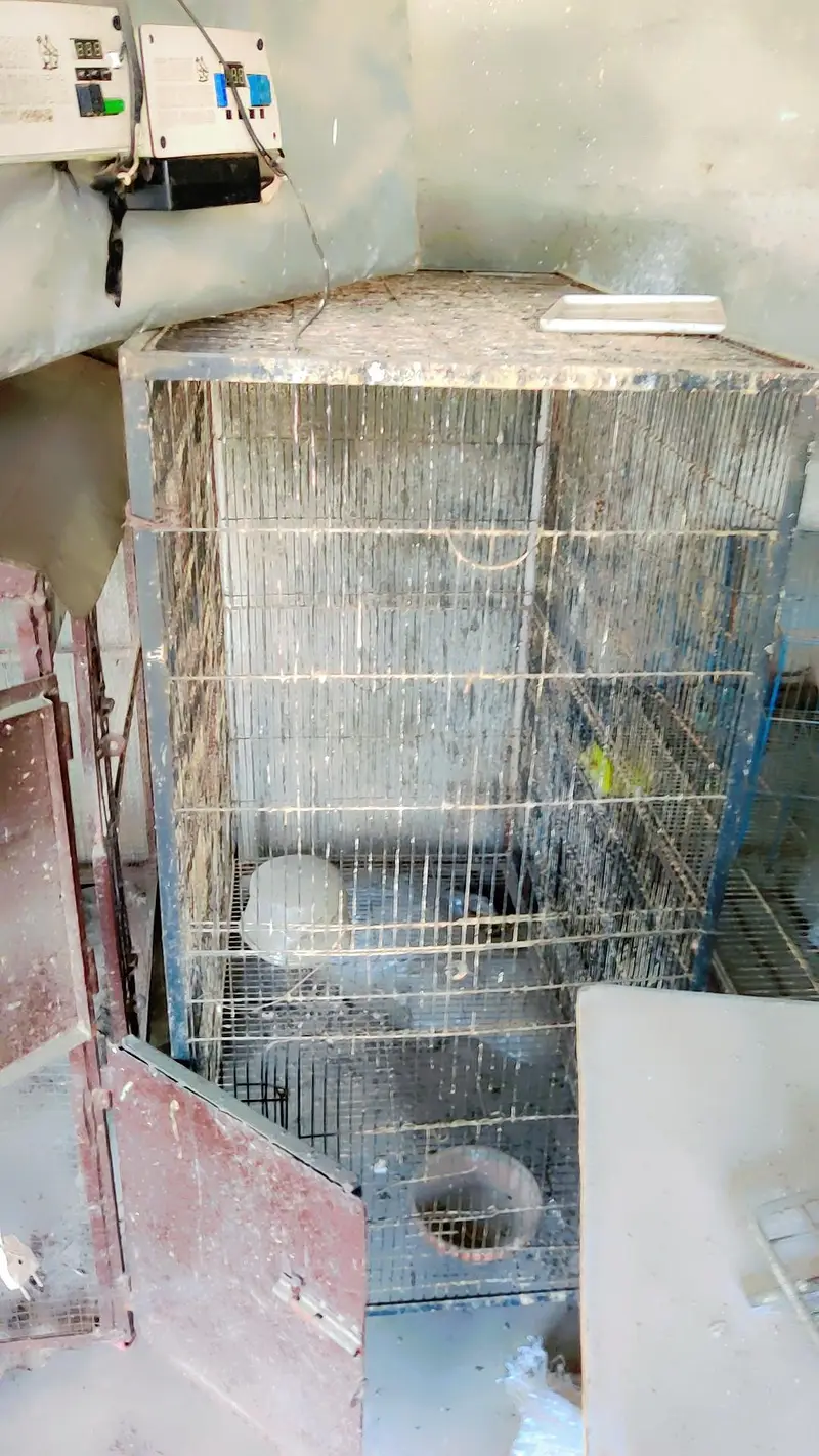 cages for sale.      03495536584 — photo 2