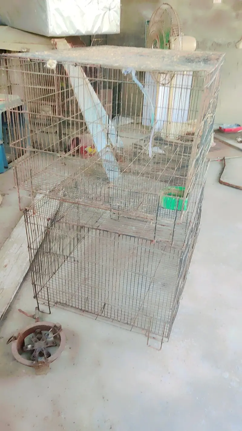 cages for sale.      03495536584 — photo 3