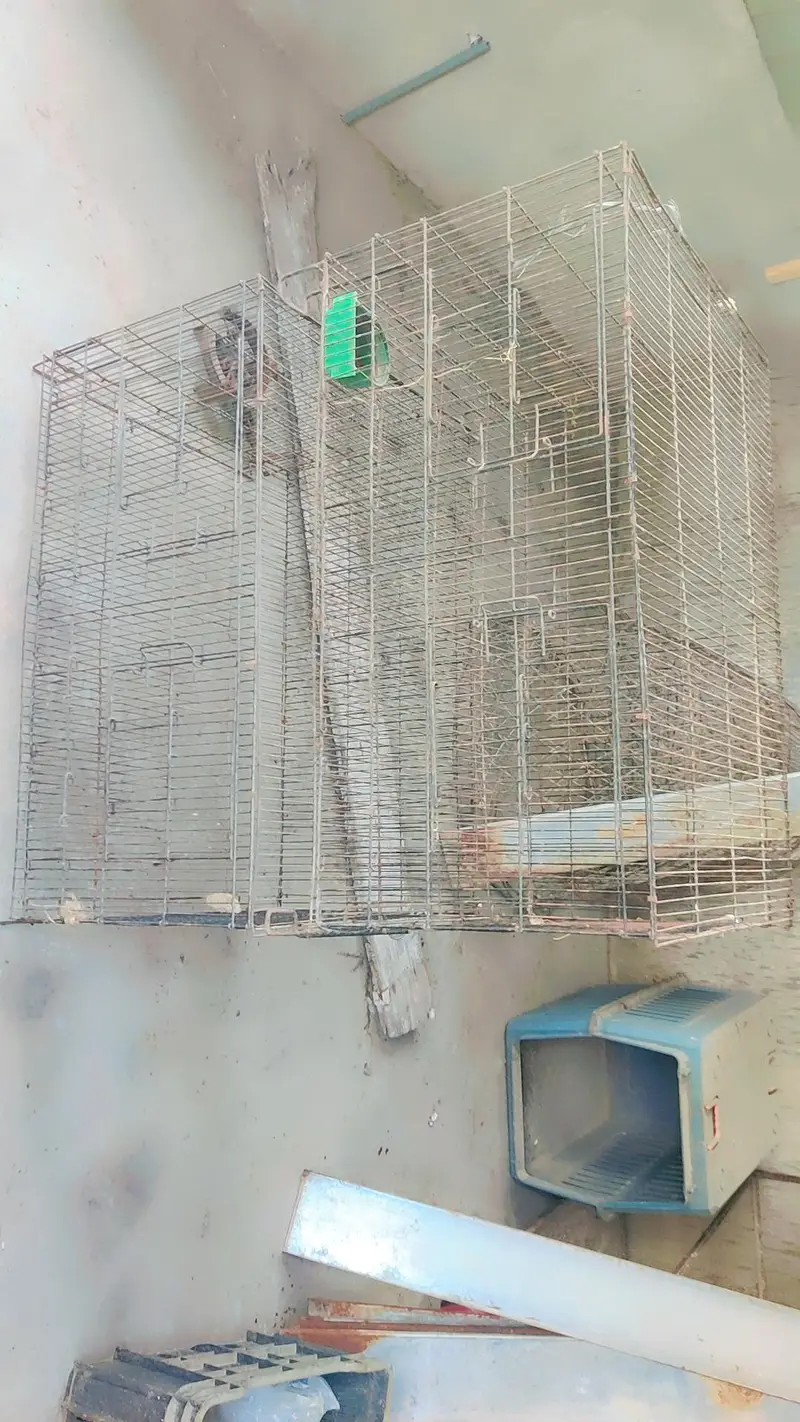 cages for sale.      03495536584 — photo 4