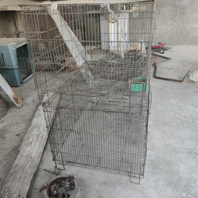 cages for sale.      03495536584 — photo 6
