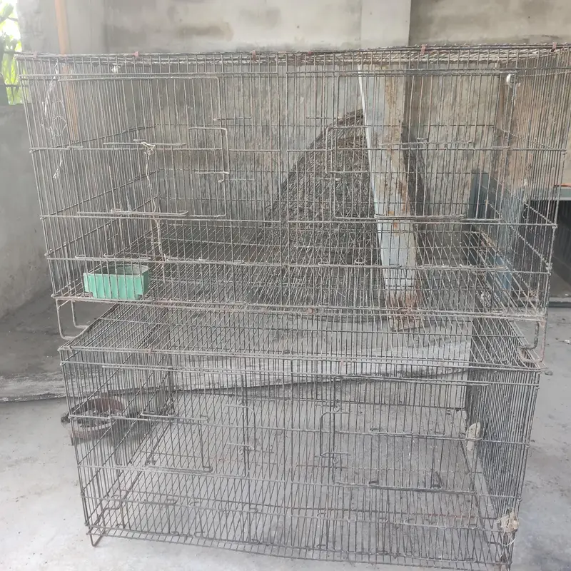 cages for sale.      03495536584 — photo 7