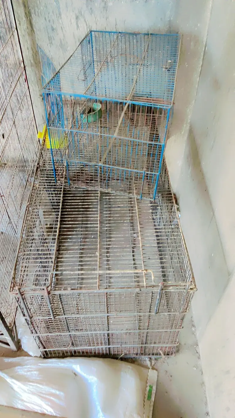 cages for sale.      03495536584 — photo 8