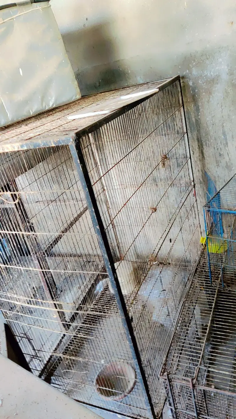 cages for sale.      03495536584 — photo 9
