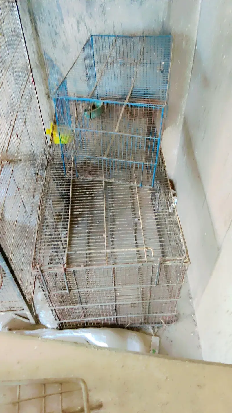 cages for sale.      03495536584 — photo 10