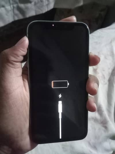 Apple iPhone 11 panel