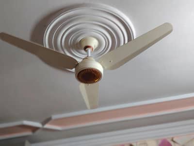 GFC COPPER DELUXE FAN.