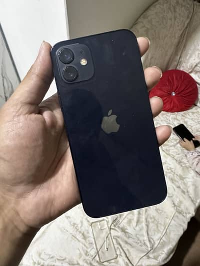 IPhone 12 256 GB PTA approved
