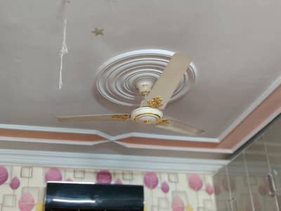Royal DELUXE Fans Genuine copper