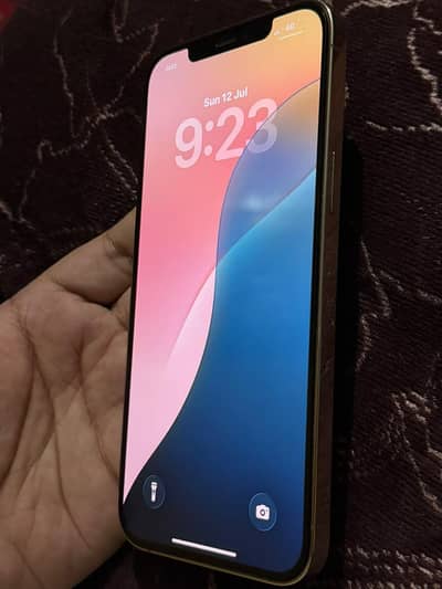 Apple iPhone 12 Pro Max