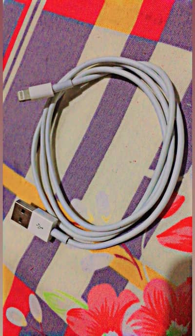 Apple Data cable