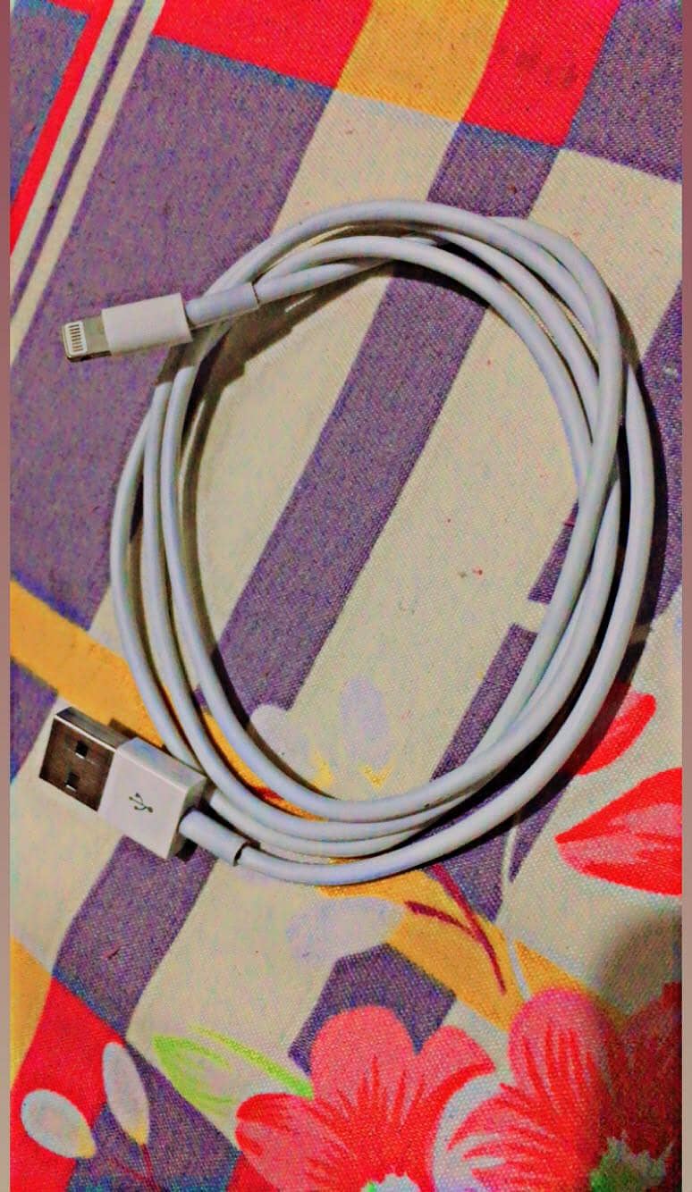 Apple Data cable 0