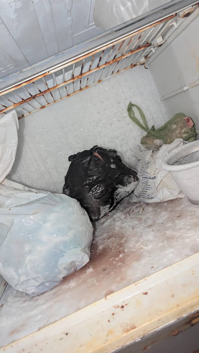 orient 2 Freezer 2