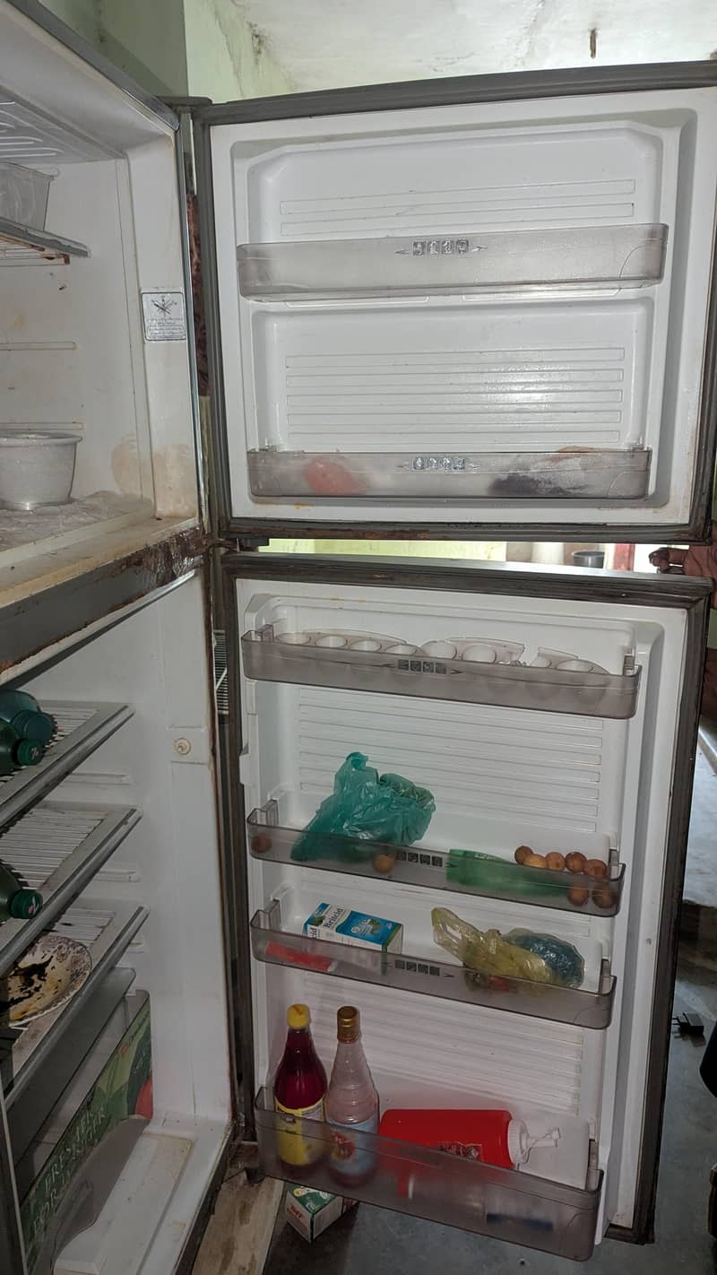 orient 2 Freezer 3