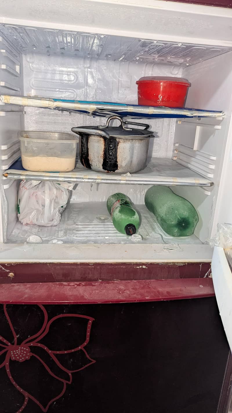 orient 2 Freezer 7