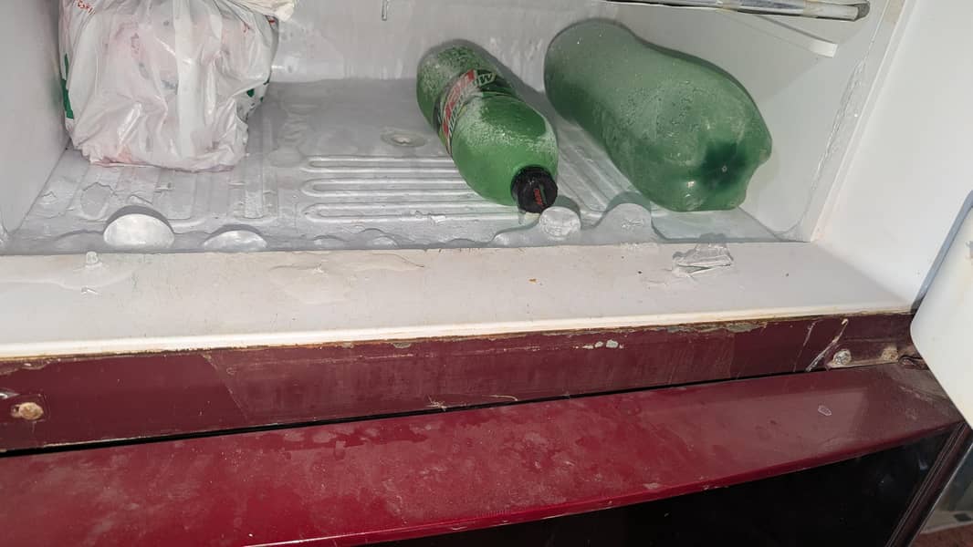 orient 2 Freezer 8