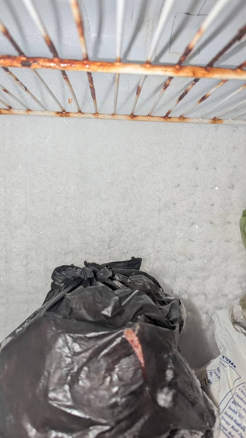 orient 2 Freezer 9