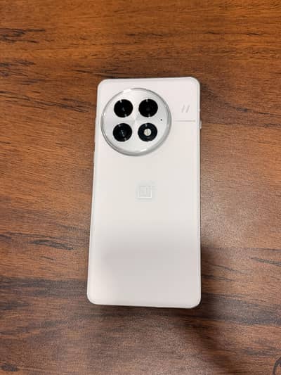 One Plus 13