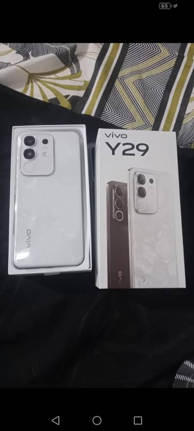 vivo y29 8/256