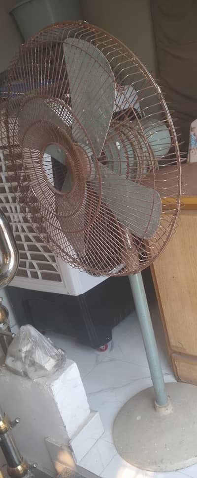 padistal fan