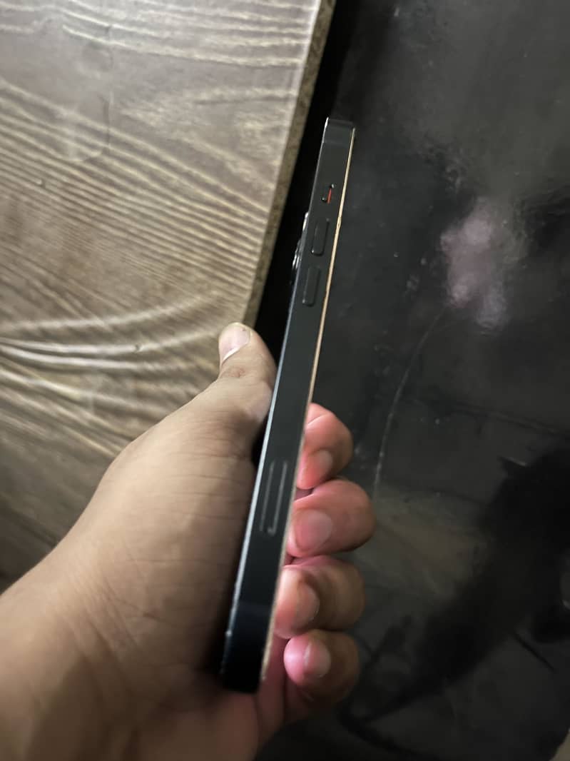Apple iPhone 13 0