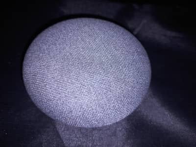 Google Nest Mini