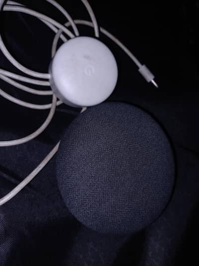 Google Nest Mini 2nd Gen