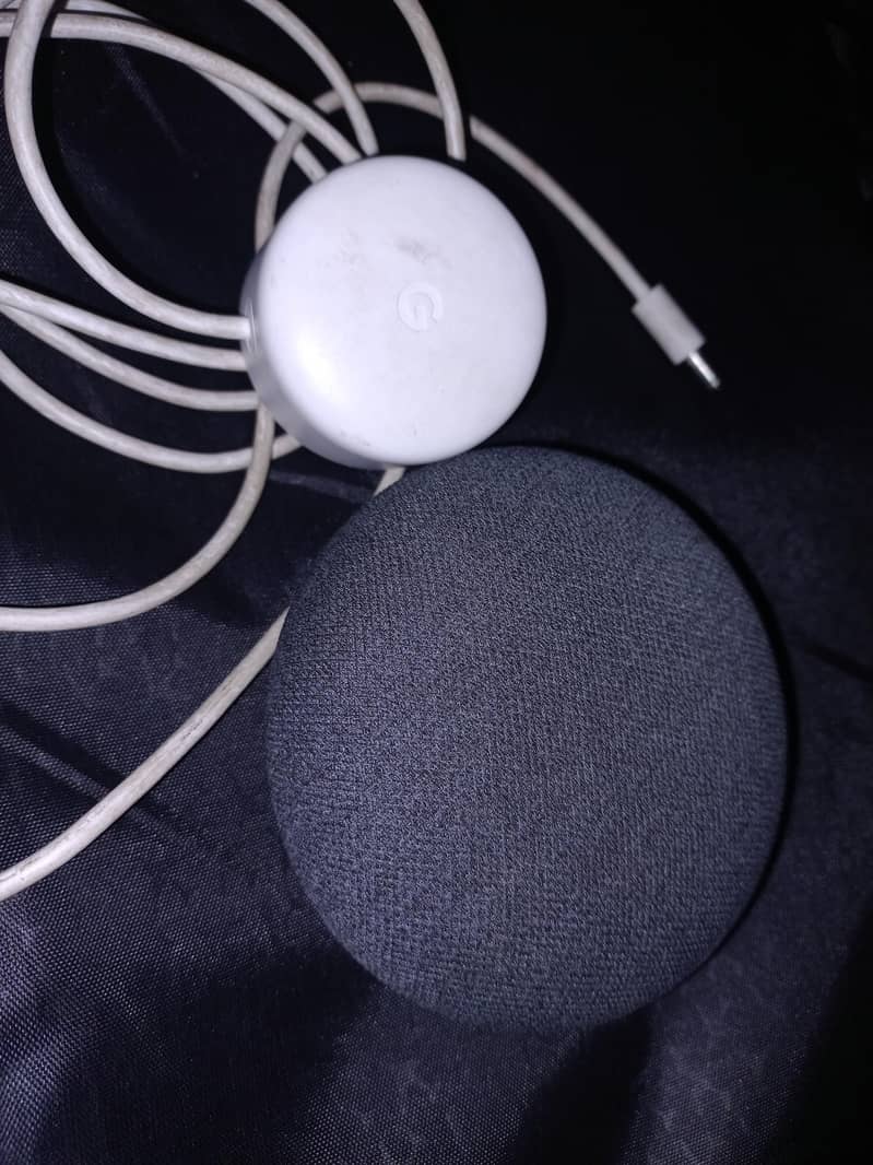 Google Nest Mini 2nd Generation 2