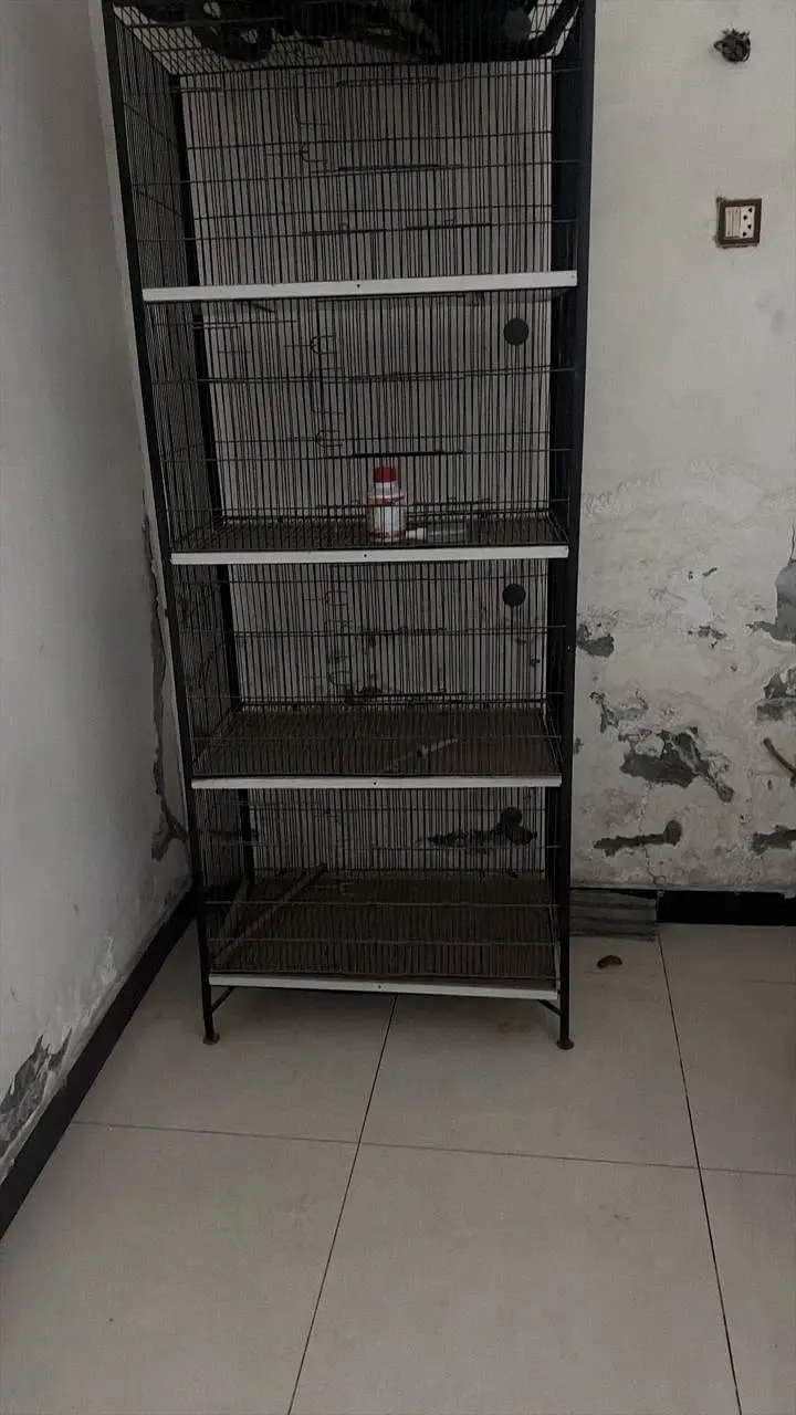 4 portions cage length 2 feet width 1.5 feet almost new condition — photo 2