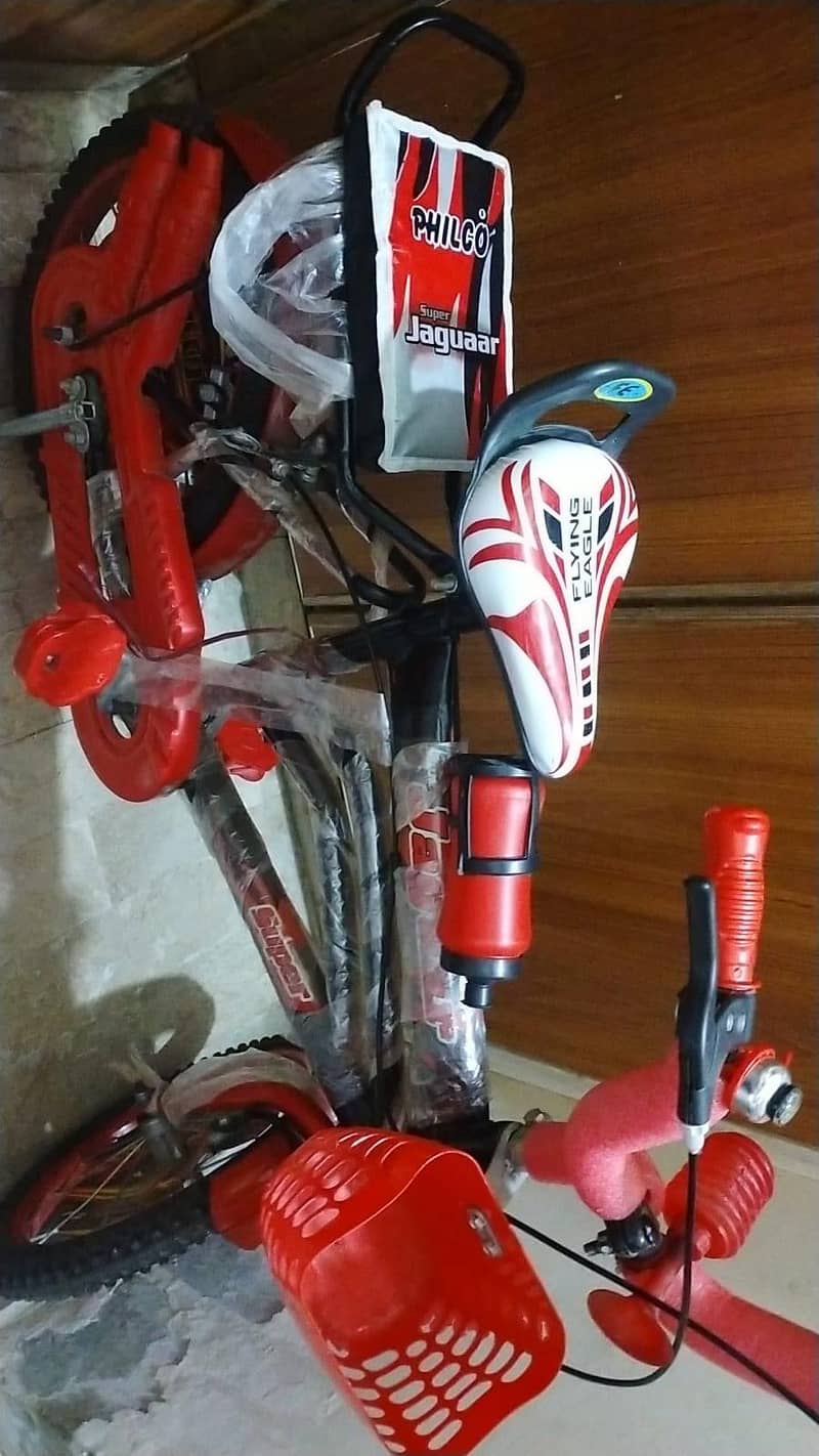cycle 1