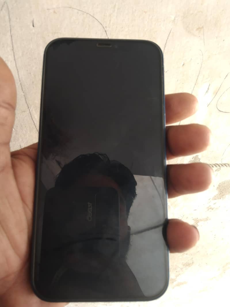 Apple iPhone 12 1
