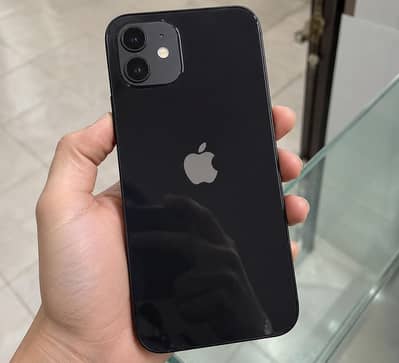 IPhone 12 Factory Reset