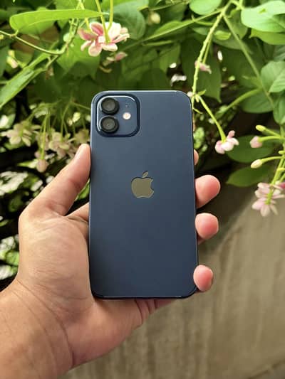 Apple iPhone 12