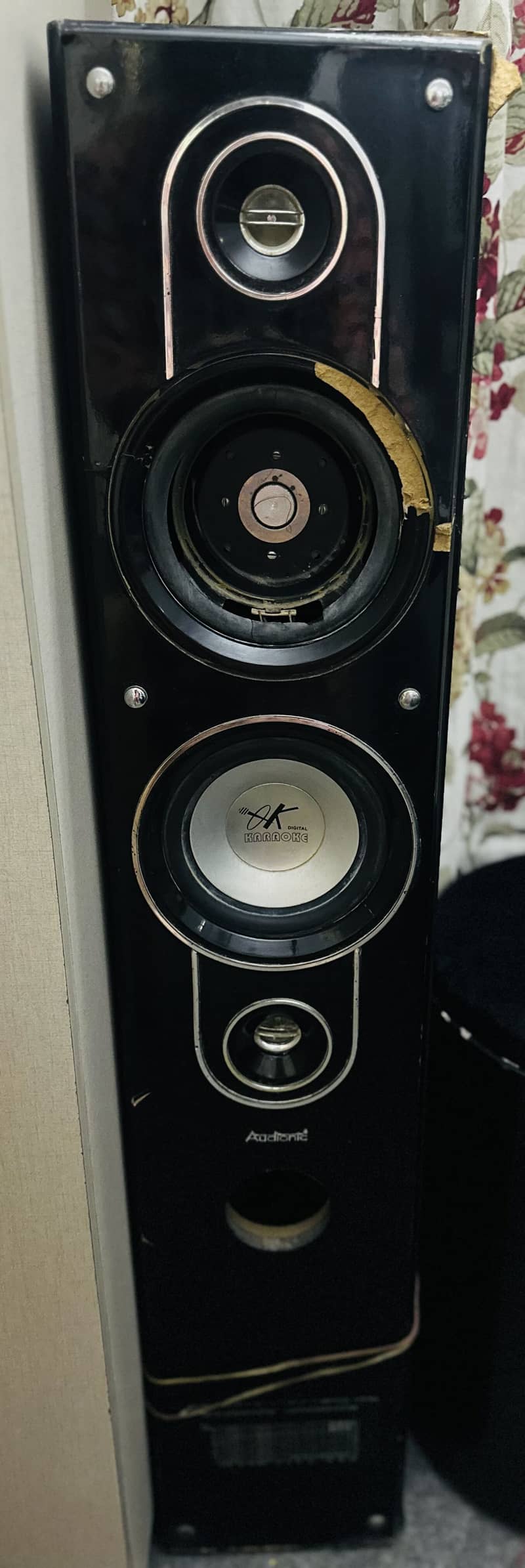 Audionic Speakers 1
