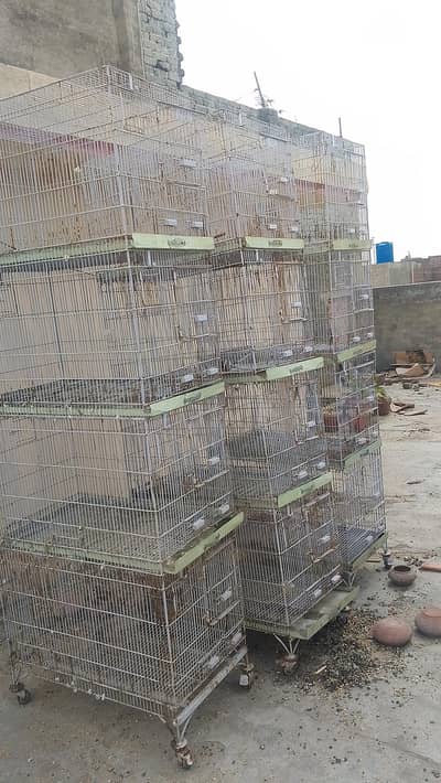cages 3 pieces