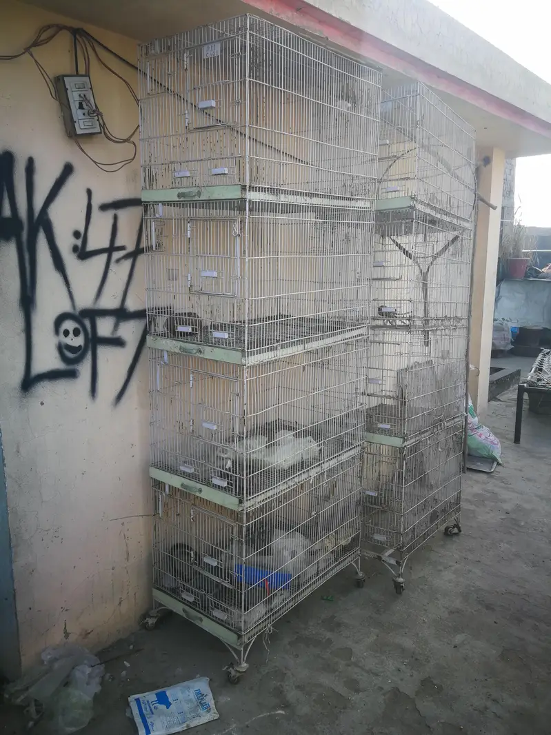 cages 3 pieces — photo 2