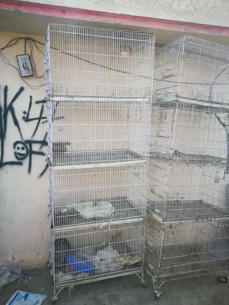 cages 3 pieces — photo 3