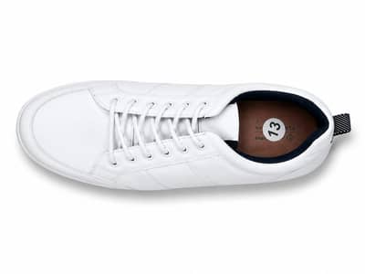  Premium Sneakers for Sale – Excellent Condition