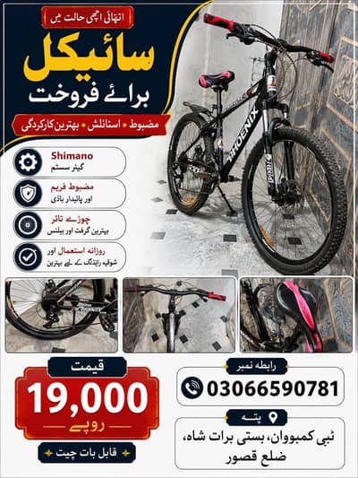 MTB Phoenix Cycle گئیر سسٹم