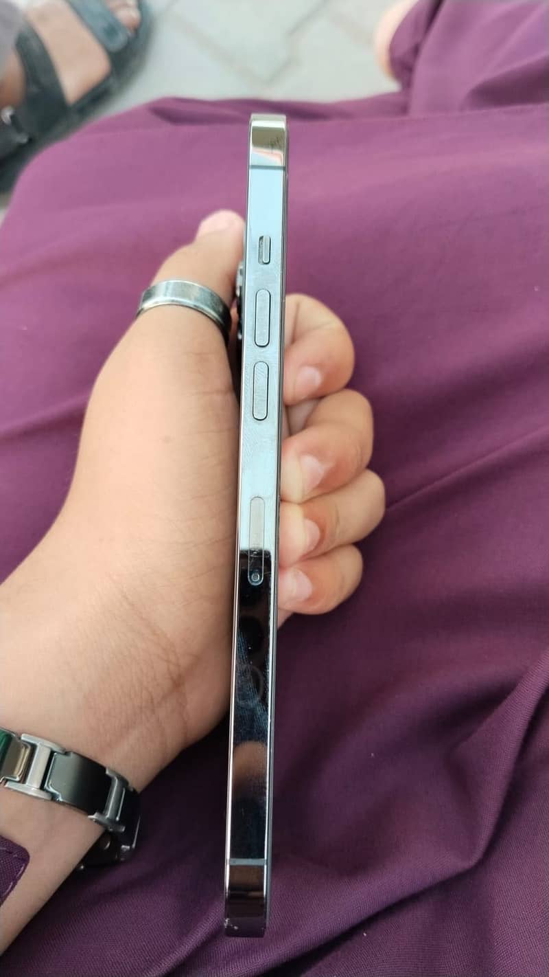 Apple iPhone 12 Pro Max 1