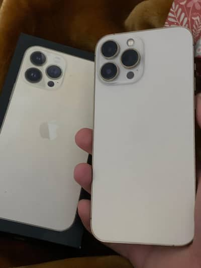 Apple iPhone 13 Pro Max
