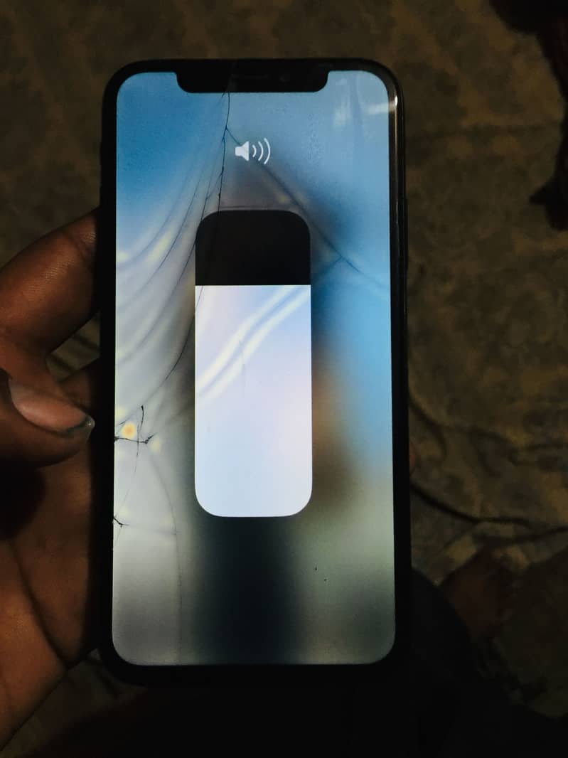 Apple iPhone X 6