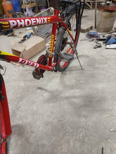 26 inch cycle