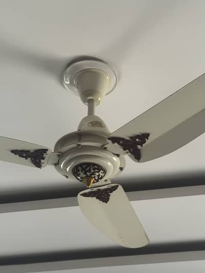 Pak Fan and GFC Fan (Pure Copper)