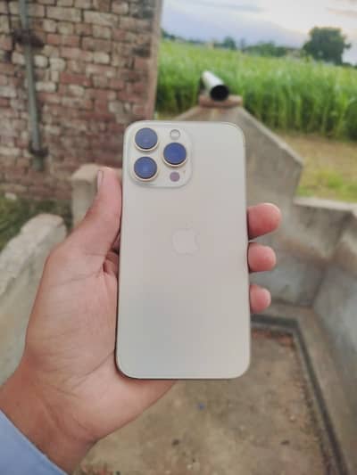 Apple iPhone 13 Pro Gold