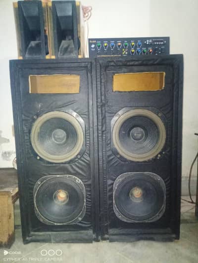 10" subwoofer speaker